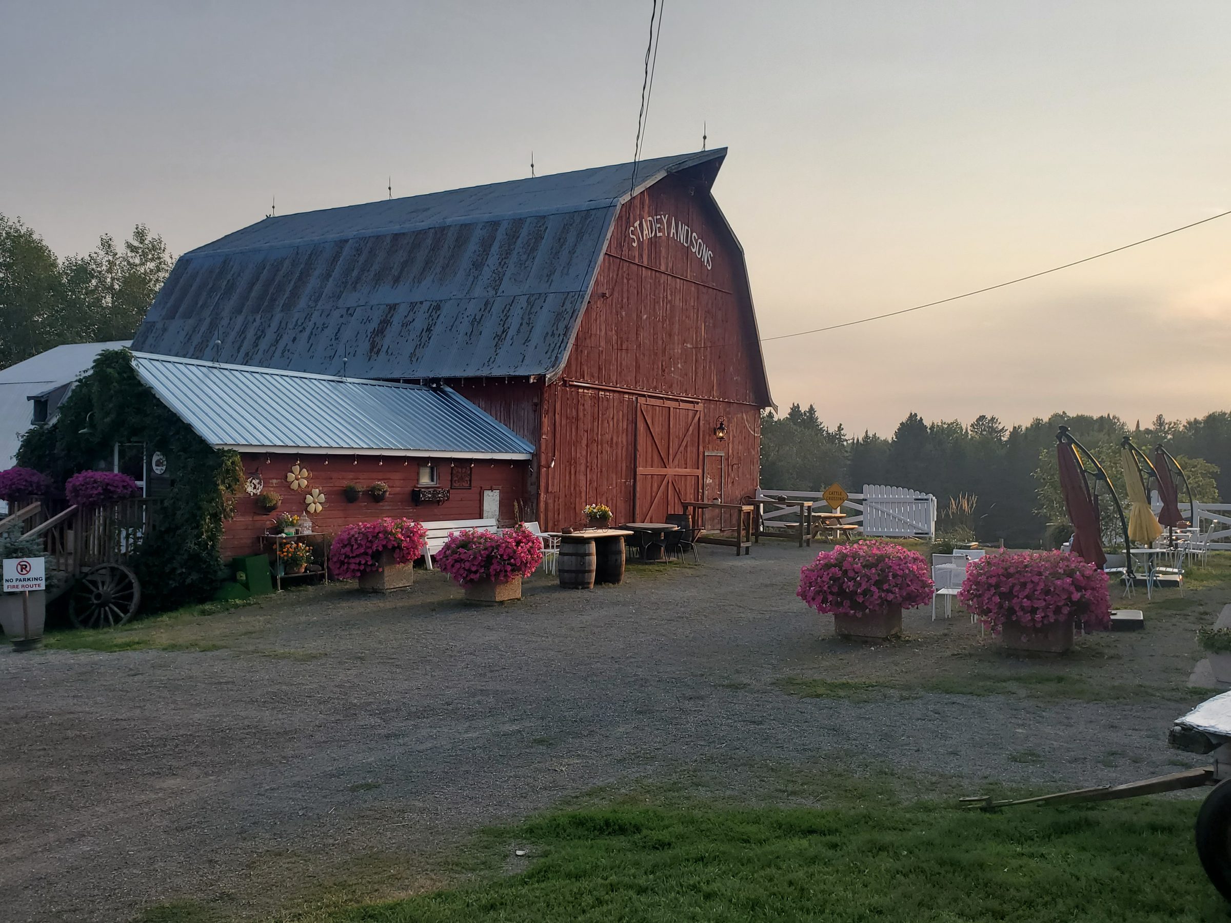 Vibrant colorful flower garden on the farm